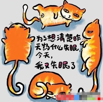 2_79036030_diary.jpg