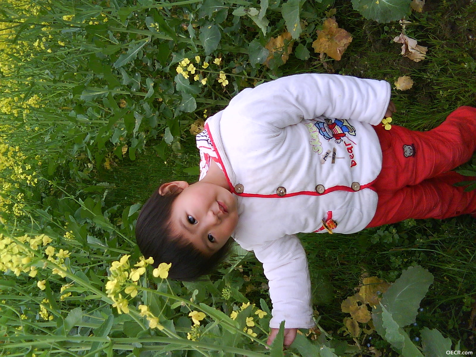 DSC00569.JPG
