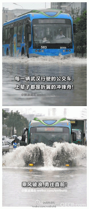 image018.gif