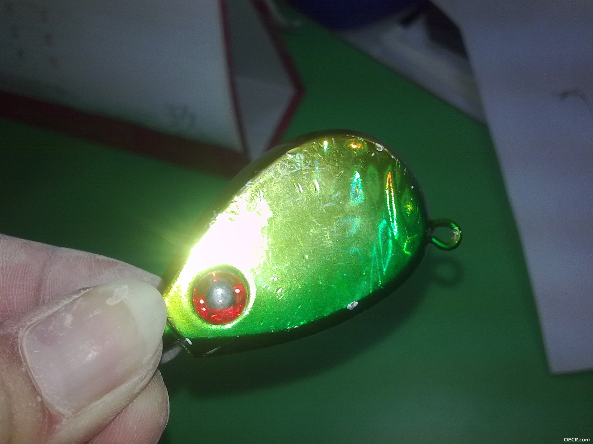 20121008107.jpg