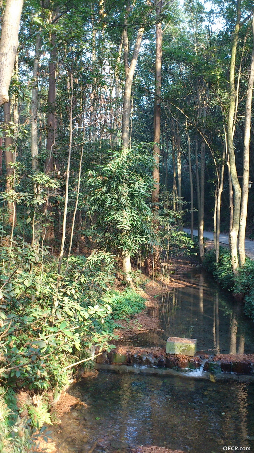 DSC_2691_调整大小.jpg