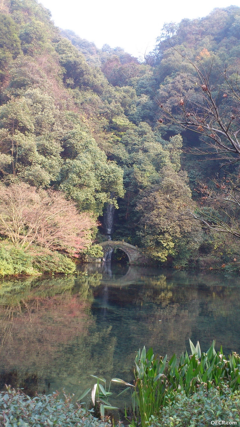DSC_2704_调整大小.jpg