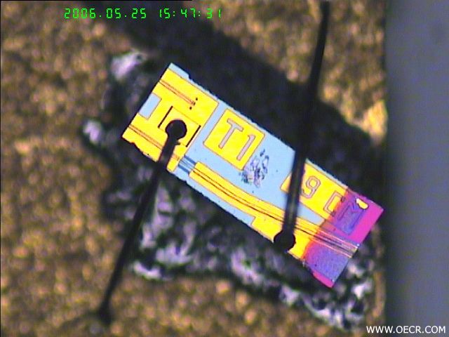 20060525-7.jpg